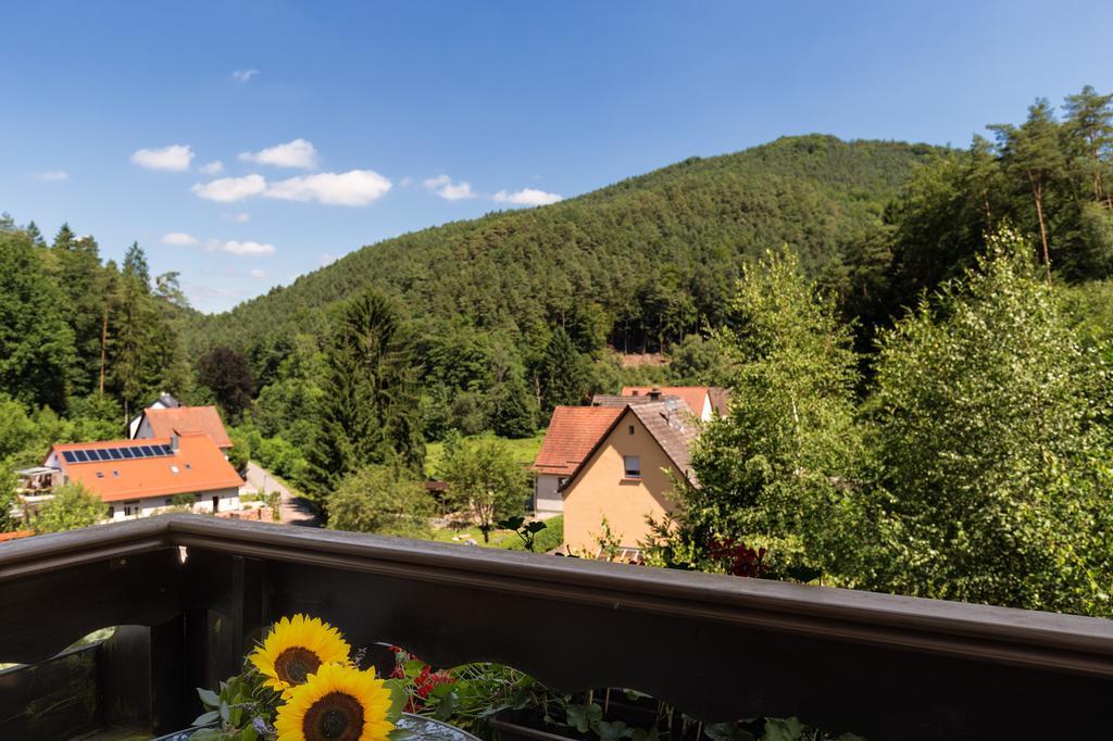 Hotel Die Kleine Blume Erfweiler Eksteriør bilde